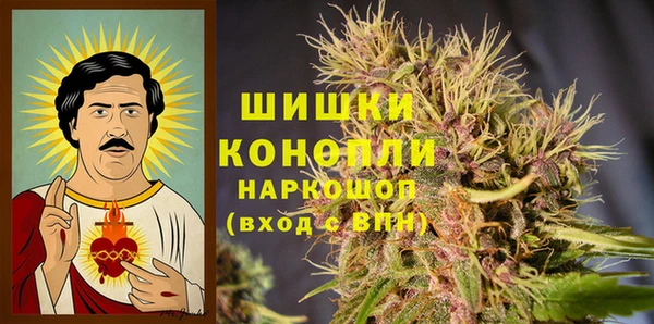 хмурый Мегион