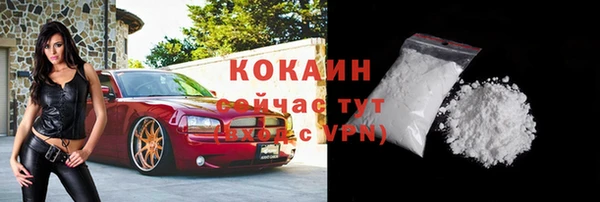 хмурый Мегион