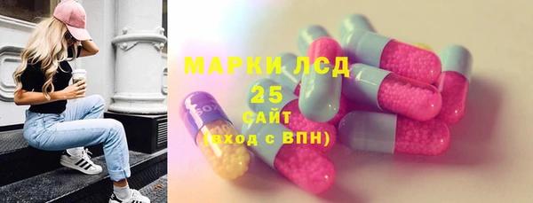хмурый Мегион