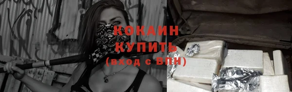 хмурый Мегион