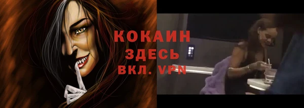 хмурый Мегион
