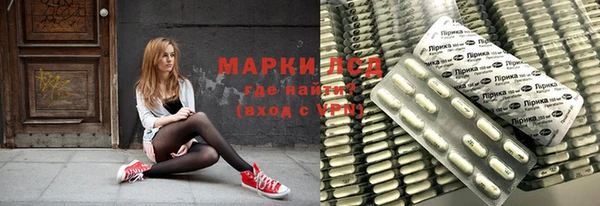 хмурый Мегион