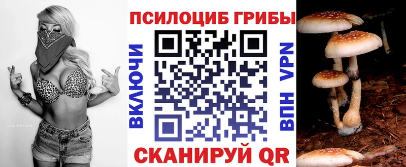 Купить  Нурлат  Псилоцибиновые грибы MAGIC MUSHROOMS 